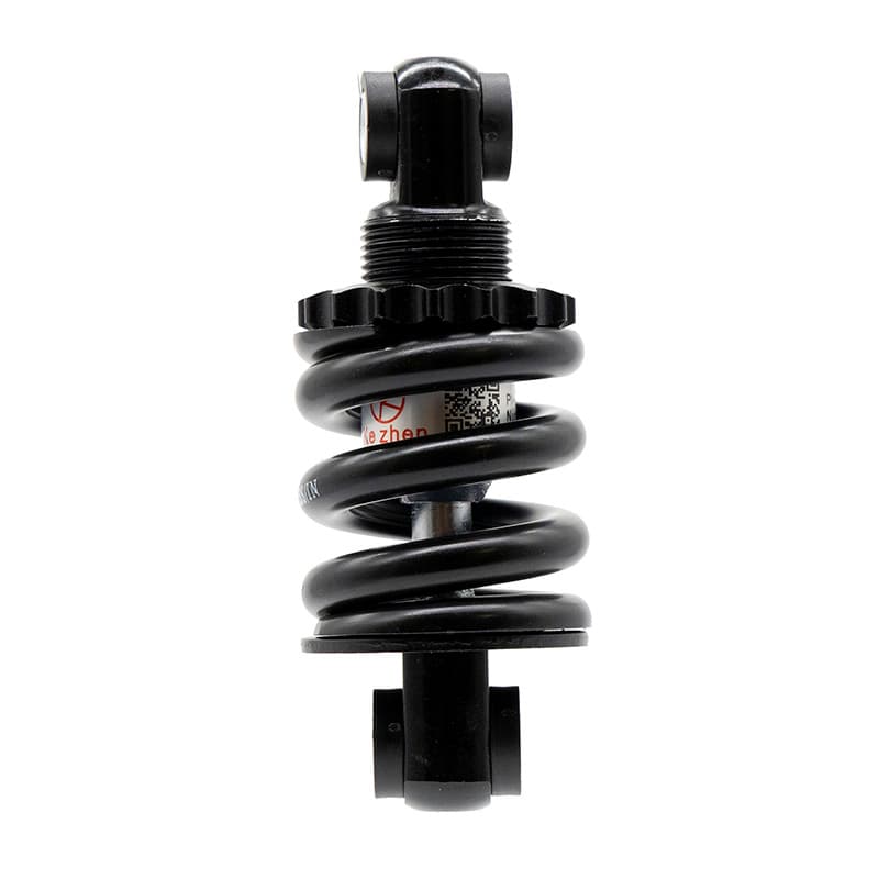 Federung 100x24 ECOXTREM M41
