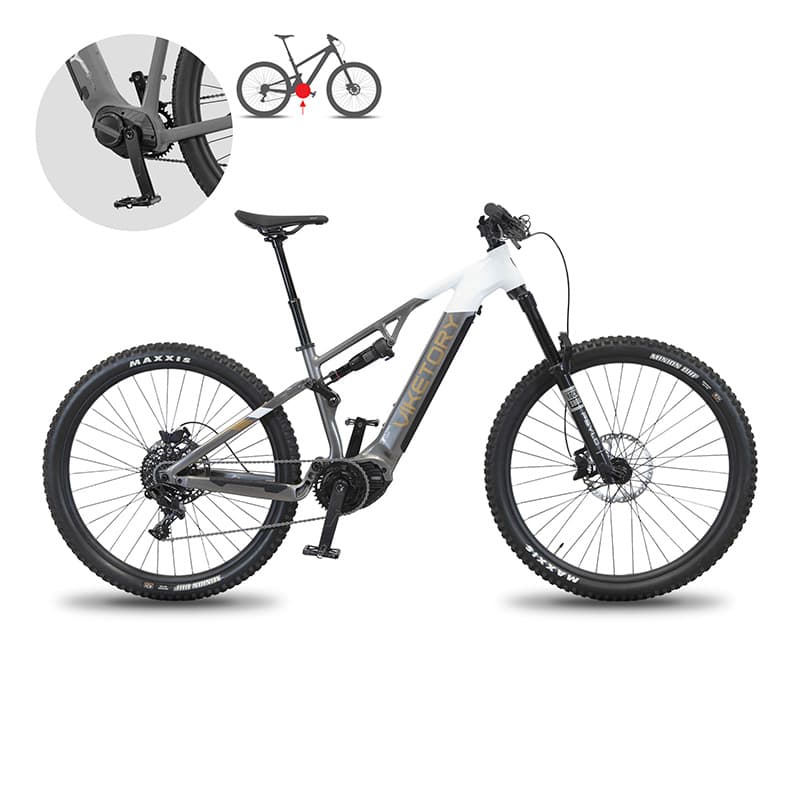 TERRAM E-Bike MTB Grau/Weiß
