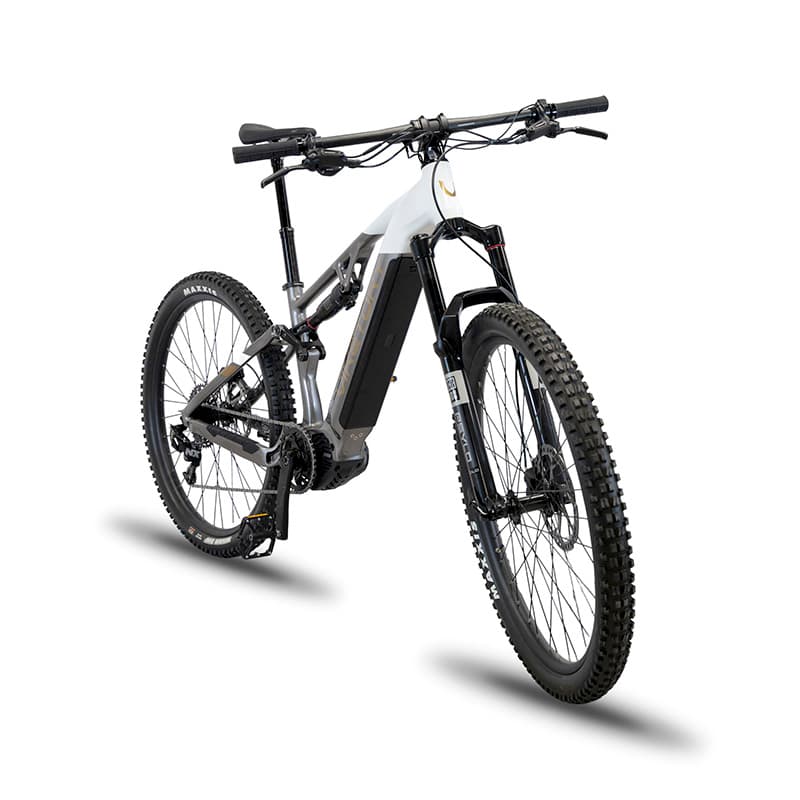 TERRAM E-Bike MTB Grau/Weiß