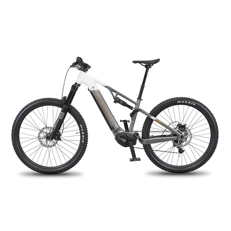 TERRAM E-Bike MTB Grau/Weiß