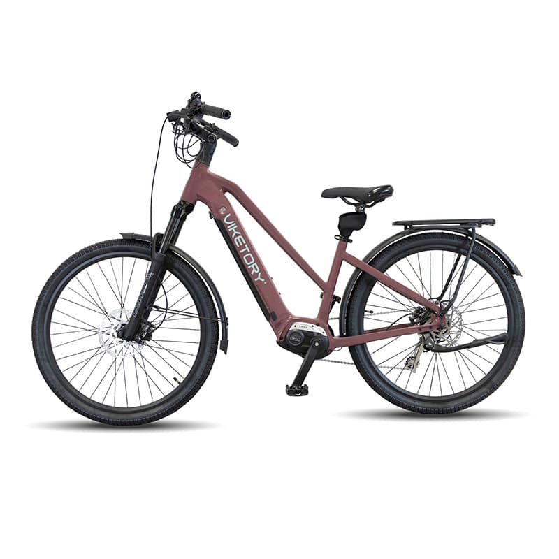 ARENOX +Plus E-Bike URBAN Kupfer