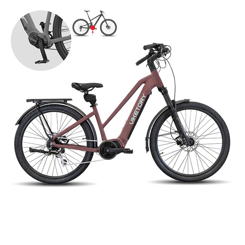 ARENOX +Plus E-Bike URBAN Kupfer