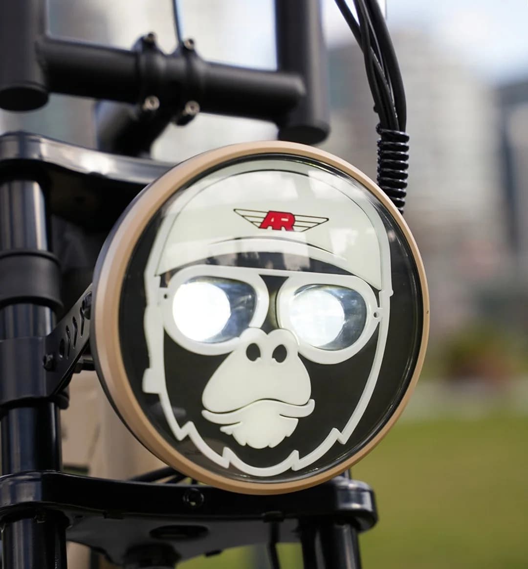 APE RYDER Mandrill Ultra
