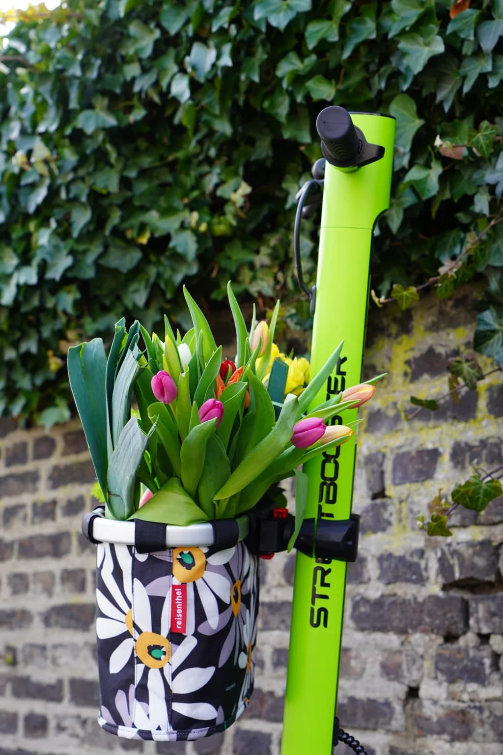KLICKfix E-Scooter-Halterung für Taschen und Körbe (Two/Sirius)