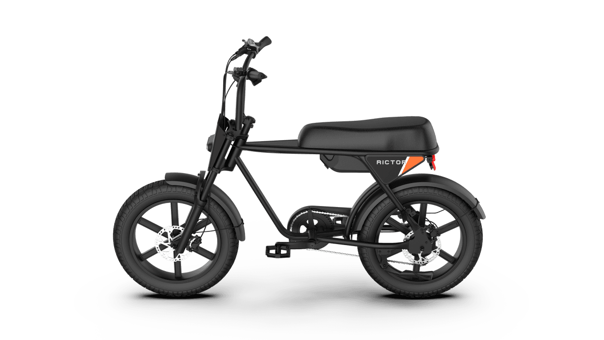 RICTOR POPGO Mini