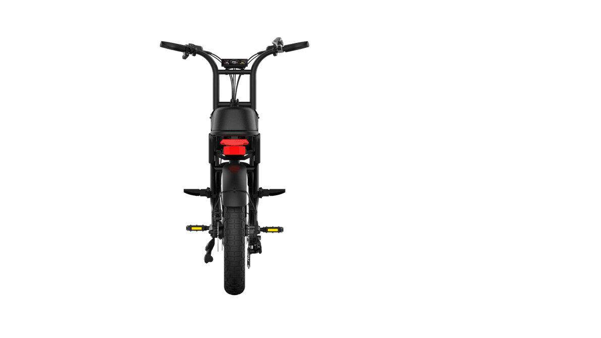 RICTOR POPGO Mini