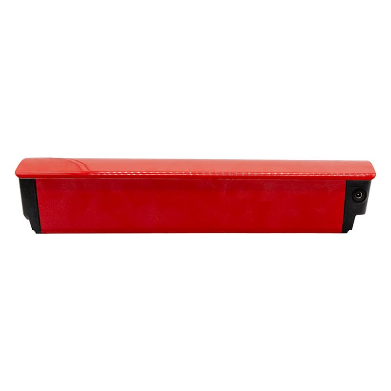 Batterie Niu BQi-C3 (leichte Version)