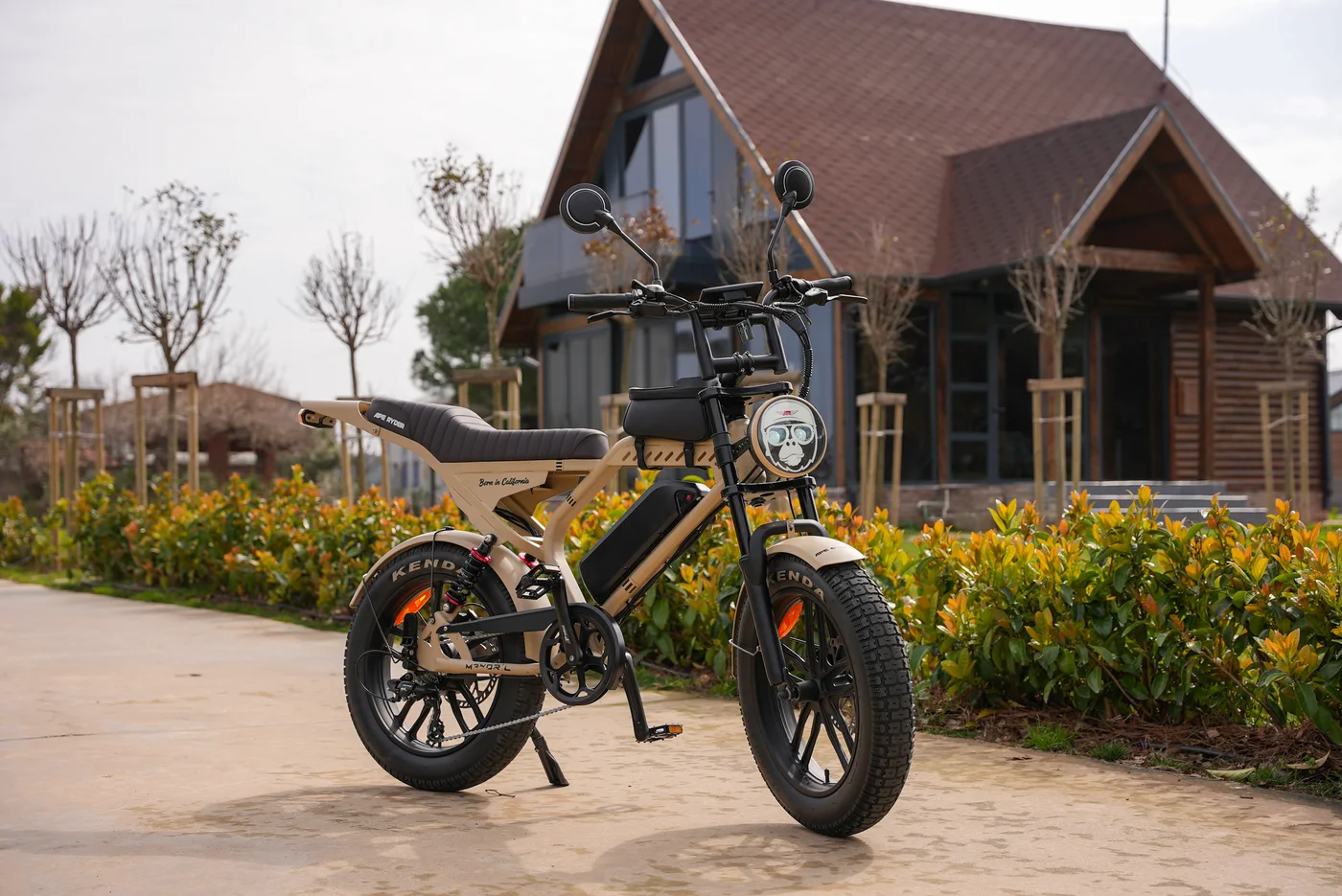 APE RYDER Mandrill Ultra in Sahara Beige